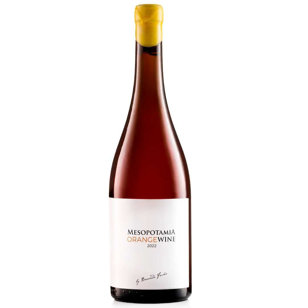 Botella Mesopotamia Orange wine 2022 vino de autor de Zamora