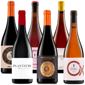 Pack 6 botellas Bernardo Fariña - Perez vinos de autor de zamora